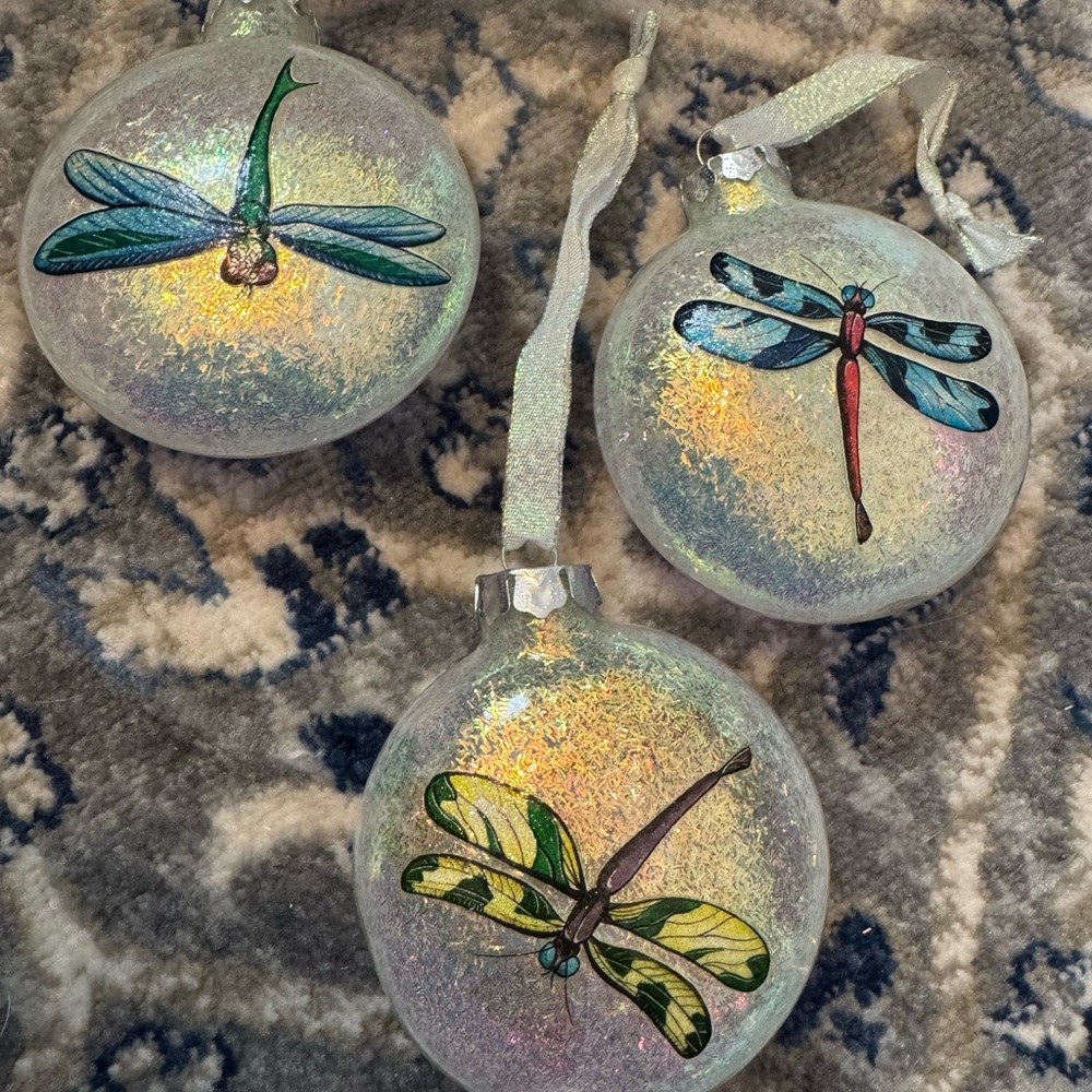 Dragonfly disc round ornaments set of 3